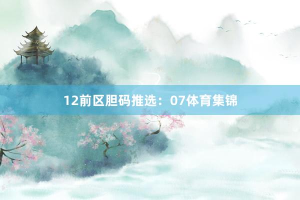 12 前区胆码推选:07体育集锦