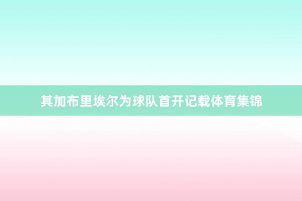 其加布里埃尔为球队首开记载体育集锦
