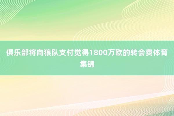 俱乐部将向狼队支付觉得1800万欧的转会费体育集锦