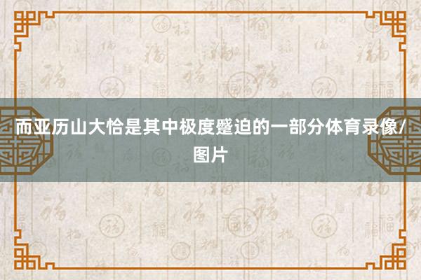 而亚历山大恰是其中极度蹙迫的一部分体育录像/图片