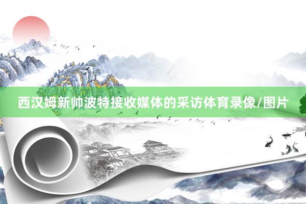 西汉姆新帅波特接收媒体的采访体育录像/图片