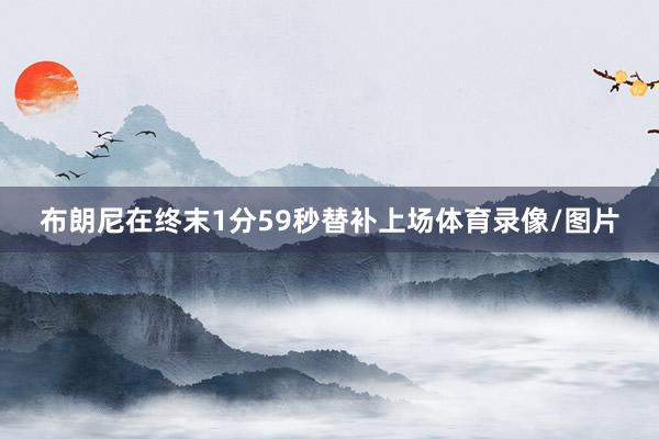 布朗尼在终末1分59秒替补上场体育录像/图片