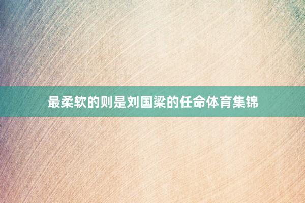 最柔软的则是刘国梁的任命体育集锦
