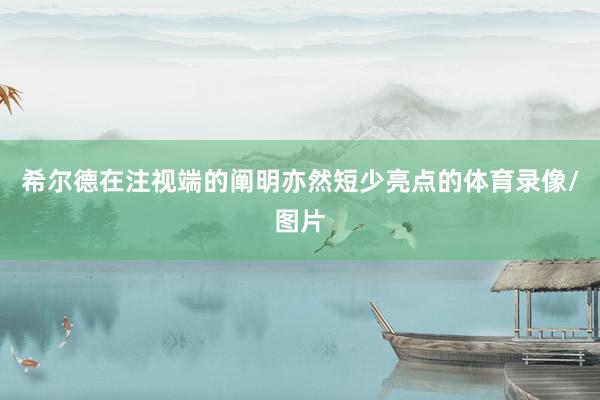 希尔德在注视端的阐明亦然短少亮点的体育录像/图片