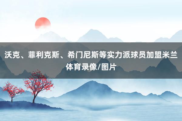 沃克、菲利克斯、希门尼斯等实力派球员加盟米兰体育录像/图片