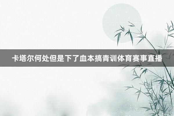 卡塔尔何处但是下了血本搞青训体育赛事直播