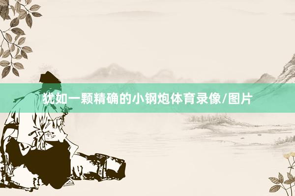 犹如一颗精确的小钢炮体育录像/图片