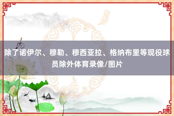 除了诺伊尔、穆勒、穆西亚拉、格纳布里等现役球员除外体育录像/图片