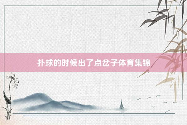 扑球的时候出了点岔子体育集锦
