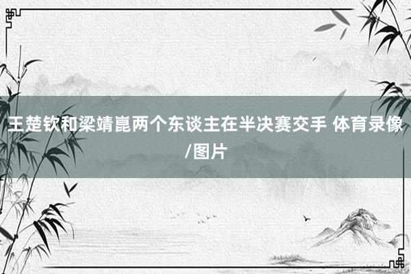 王楚钦和梁靖崑两个东谈主在半决赛交手 体育录像/图片