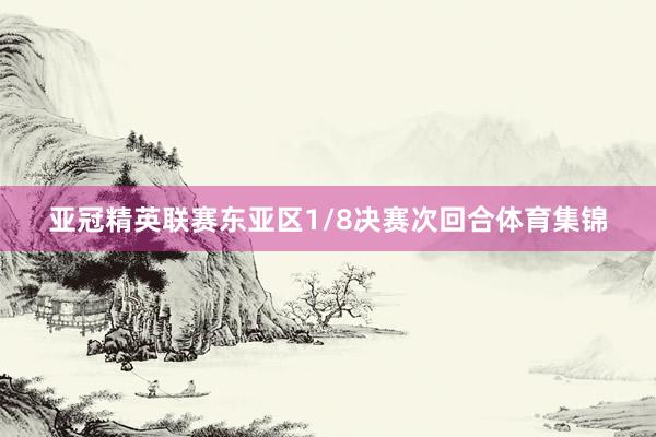 亚冠精英联赛东亚区1/8决赛次回合体育集锦