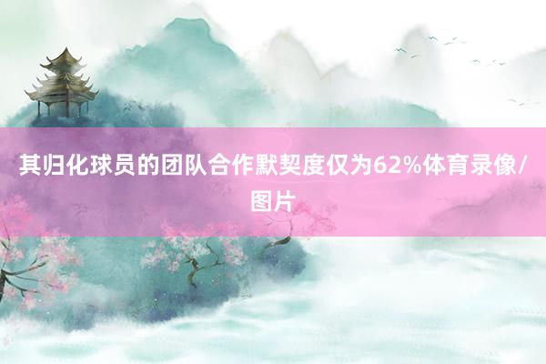 其归化球员的团队合作默契度仅为62%体育录像/图片