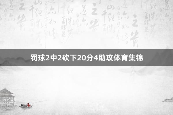 罚球2中2砍下20分4助攻体育集锦