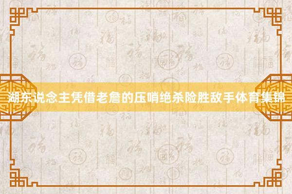 湖东说念主凭借老詹的压哨绝杀险胜敌手体育集锦