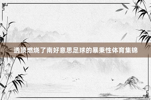 透顶燃烧了南好意思足球的暴秉性体育集锦