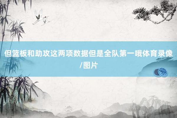 但篮板和助攻这两项数据但是全队第一哦体育录像/图片