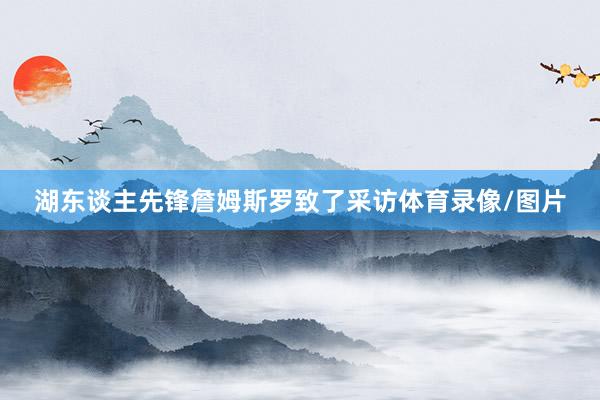 湖东谈主先锋詹姆斯罗致了采访体育录像/图片