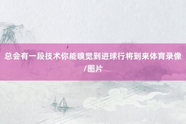 总会有一段技术你能嗅觉到进球行将到来体育录像/图片