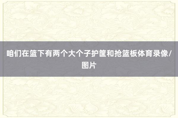 咱们在篮下有两个大个子护筐和抢篮板体育录像/图片