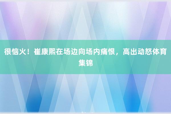 很恼火！崔康熙在场边向场内痛恨，高出动怒体育集锦