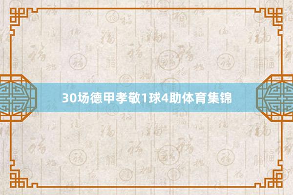 30场德甲孝敬1球4助体育集锦