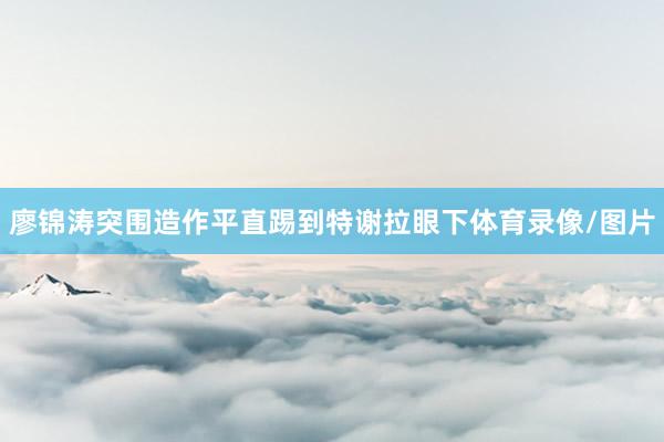 廖锦涛突围造作平直踢到特谢拉眼下体育录像/图片