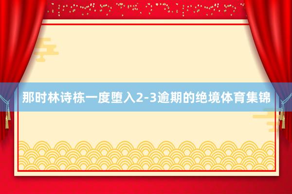 那时林诗栋一度堕入2-3逾期的绝境体育集锦
