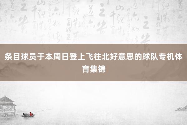 条目球员于本周日登上飞往北好意思的球队专机体育集锦