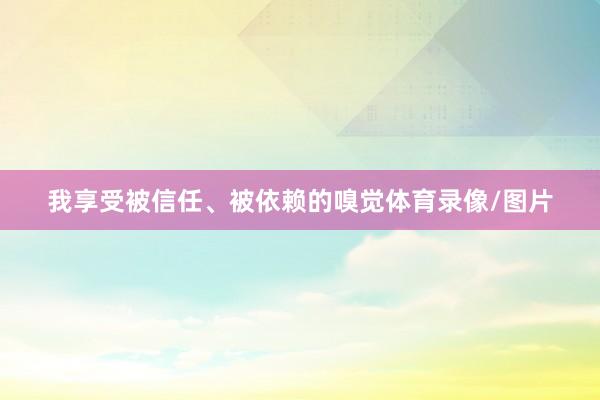 我享受被信任、被依赖的嗅觉体育录像/图片