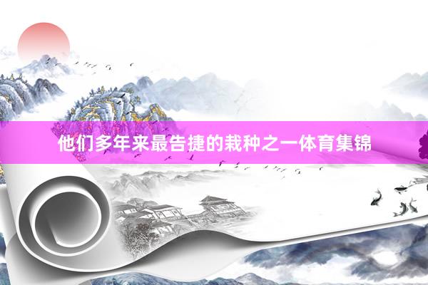 他们多年来最告捷的栽种之一体育集锦