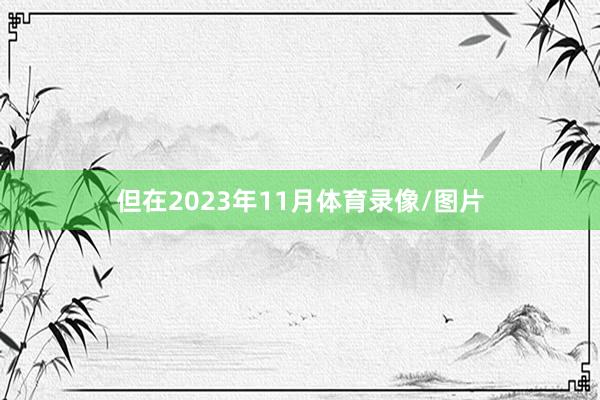 但在2023年11月体育录像/图片