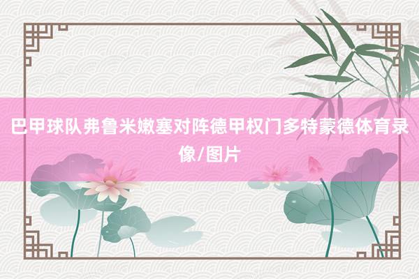 巴甲球队弗鲁米嫩塞对阵德甲权门多特蒙德体育录像/图片