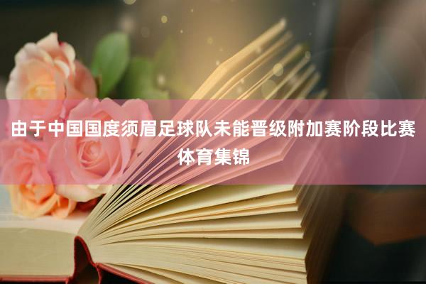 由于中国国度须眉足球队未能晋级附加赛阶段比赛体育集锦
