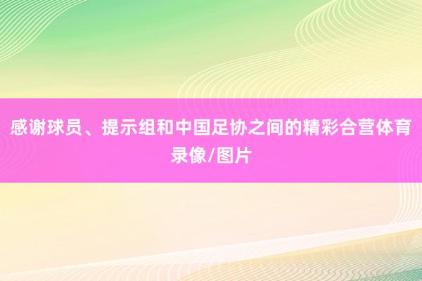 感谢球员、提示组和中国足协之间的精彩合营体育录像/图片