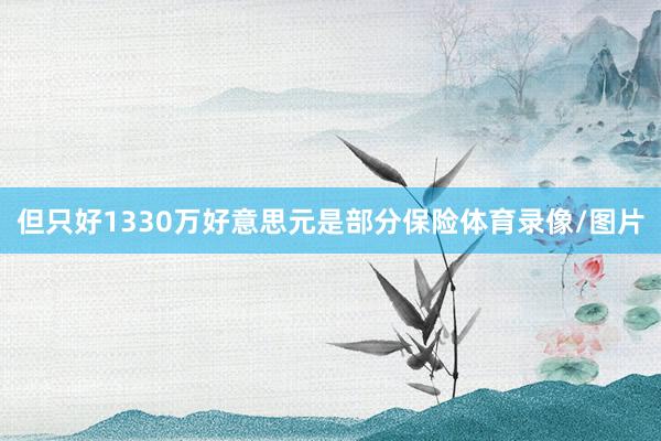 但只好1330万好意思元是部分保险体育录像/图片