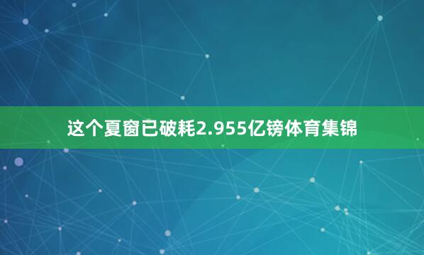 这个夏窗已破耗2.955亿镑体育集锦