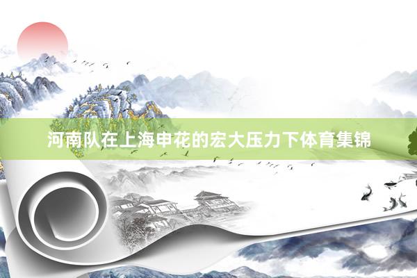 河南队在上海申花的宏大压力下体育集锦