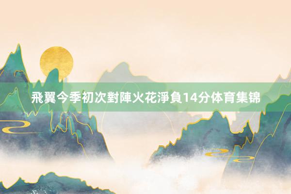 飛翼今季初次對陣火花淨負14分体育集锦