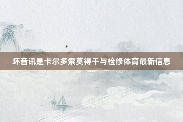坏音讯是卡尔多索莫得干与检修体育最新信息