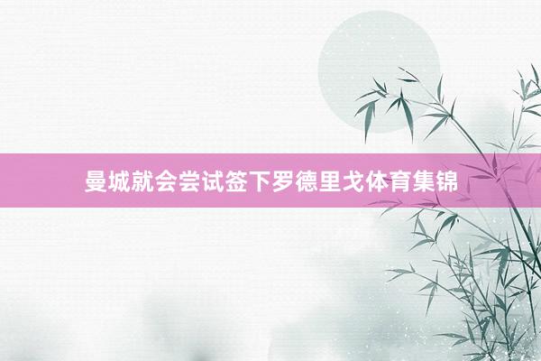 曼城就会尝试签下罗德里戈体育集锦