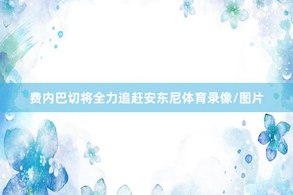 费内巴切将全力追赶安东尼体育录像/图片