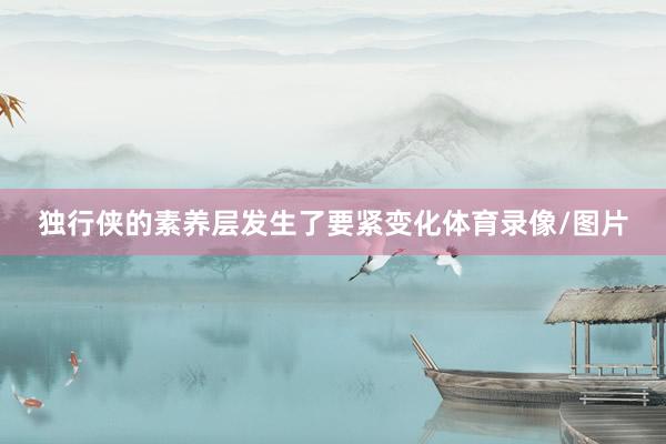 独行侠的素养层发生了要紧变化体育录像/图片