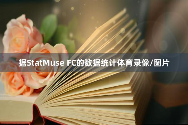 据StatMuse FC的数据统计体育录像/图片