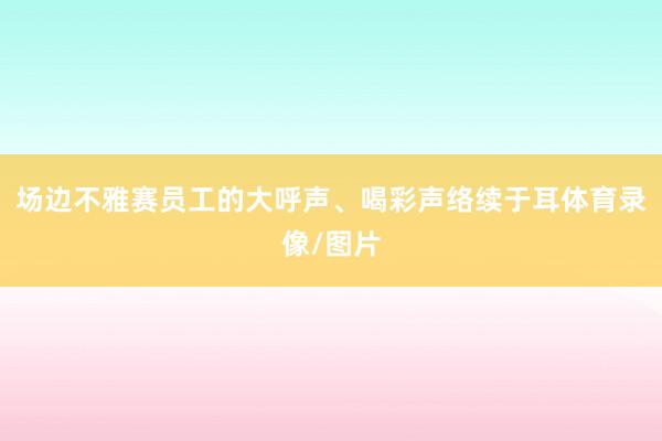 场边不雅赛员工的大呼声、喝彩声络续于耳体育录像/图片