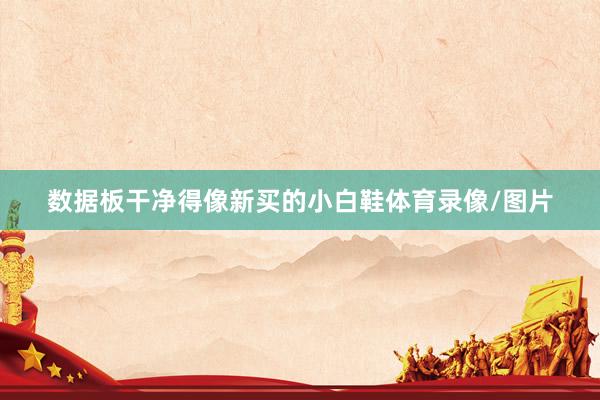 数据板干净得像新买的小白鞋体育录像/图片