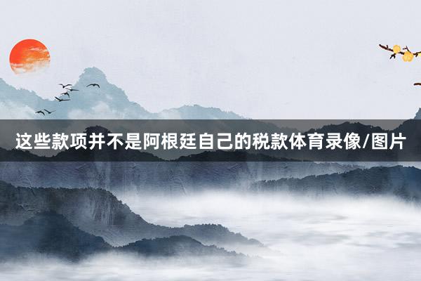 这些款项并不是阿根廷自己的税款体育录像/图片