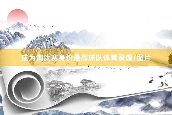 成为淘汰赛身价最高球队体育录像/图片