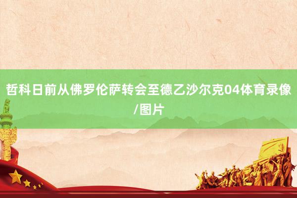 哲科日前从佛罗伦萨转会至德乙沙尔克04体育录像/图片