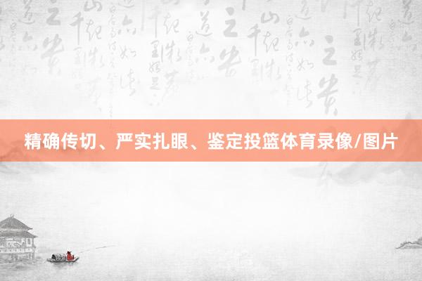 精确传切、严实扎眼、鉴定投篮体育录像/图片