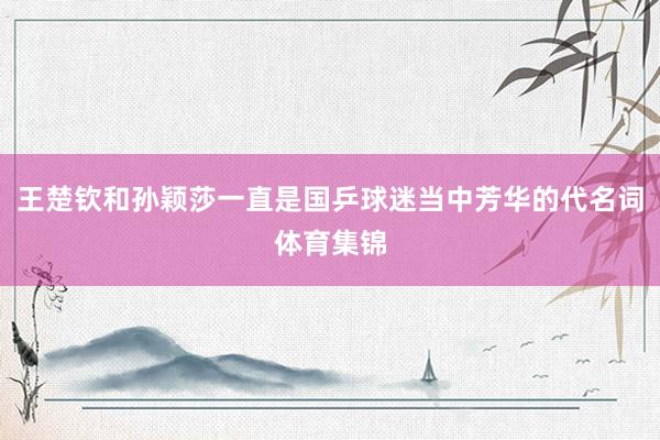 王楚钦和孙颖莎一直是国乒球迷当中芳华的代名词体育集锦